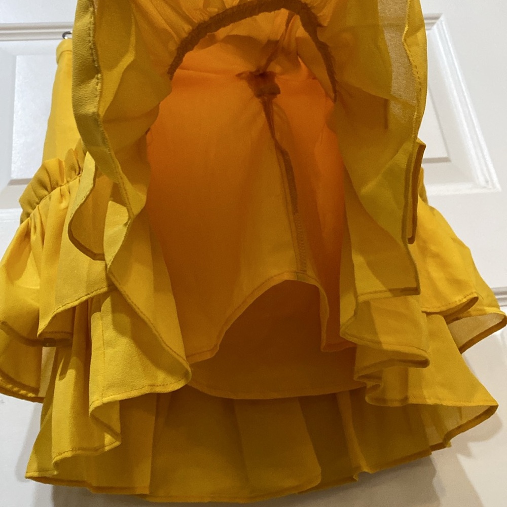 LPA Ruffle Skirt - Picture 7 of 7